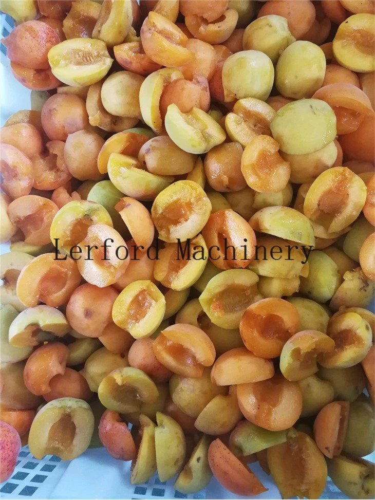 olive pitting machine