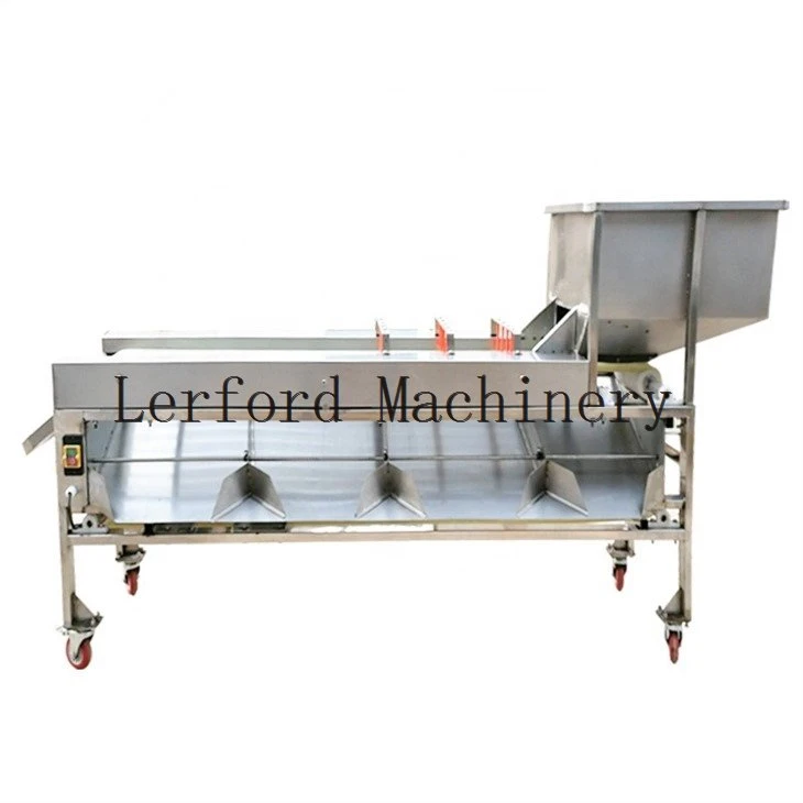 orange sorting machine