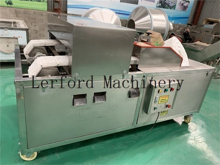 automatic olive pitter