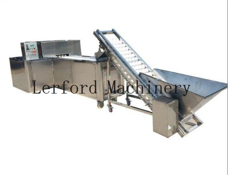 pitting machine for dates