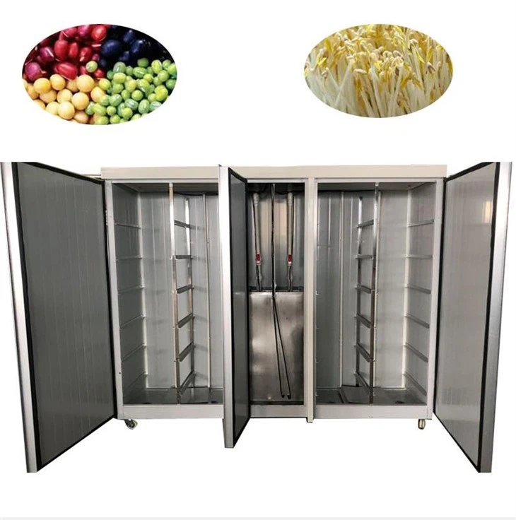 Automatic Bean Sprouter