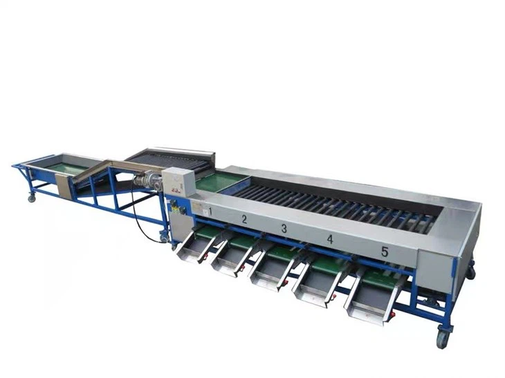 Blueberry Sorting Equipment