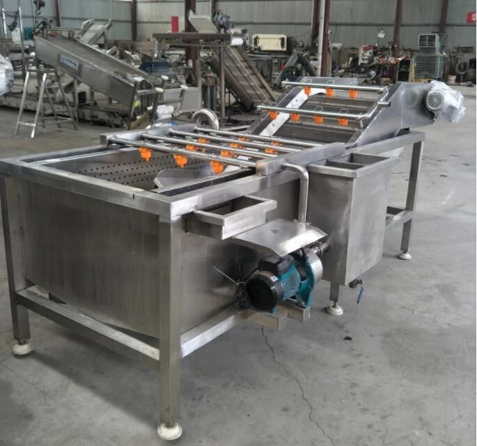 Lettuce Washing Equipment