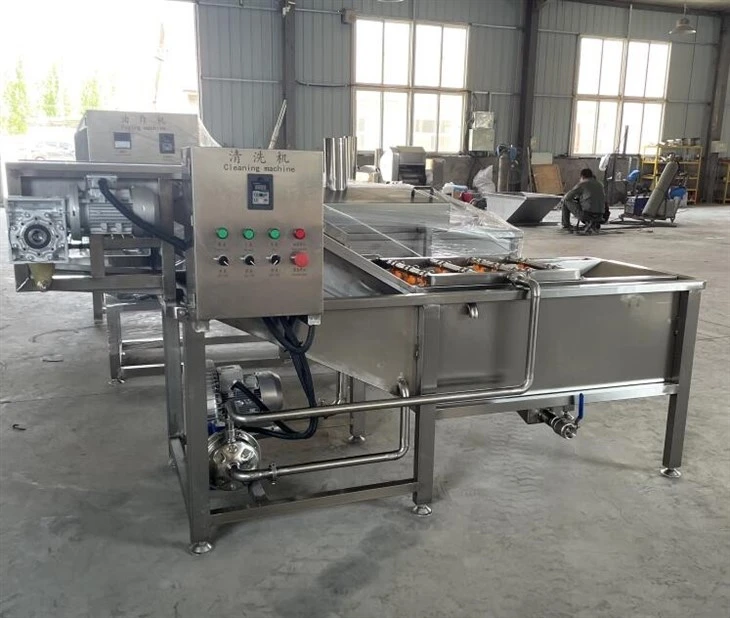 Vegetable And Fruit Cleaner Machine