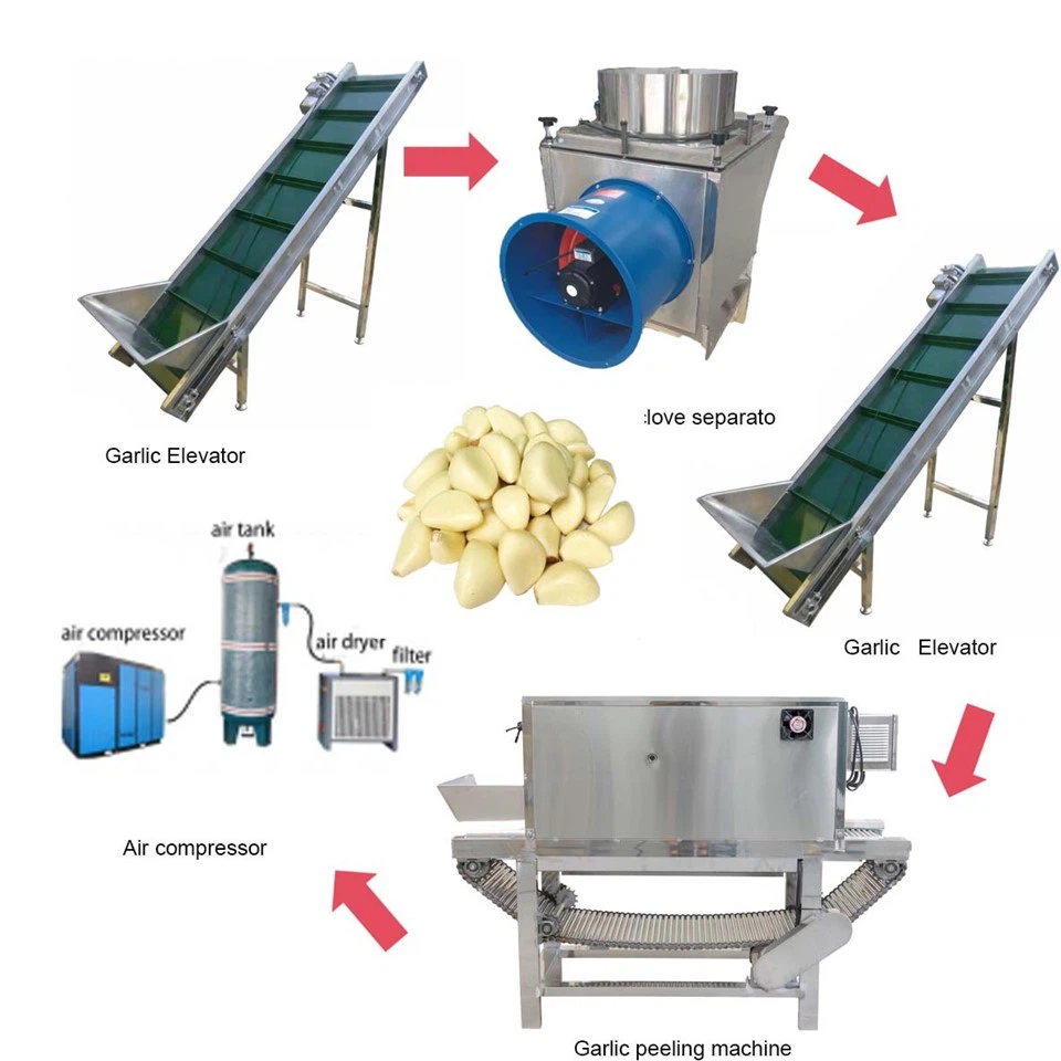 Industrial Garlic Peeling Machine suppliers
