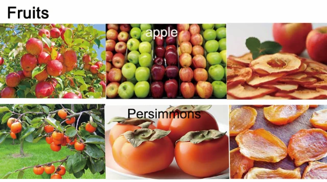 Fruit Dryer Fruit Dryer