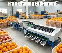 Equipamento de classificação de frutas