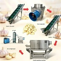 Máquina industrial de descascar alho